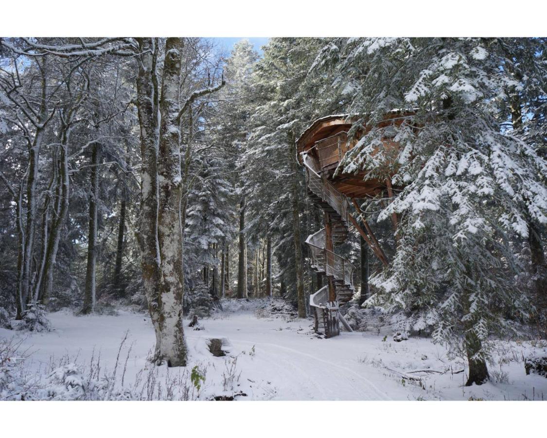 Cabanes Des Volcans La Tour-d'Auvergne Luaran gambar