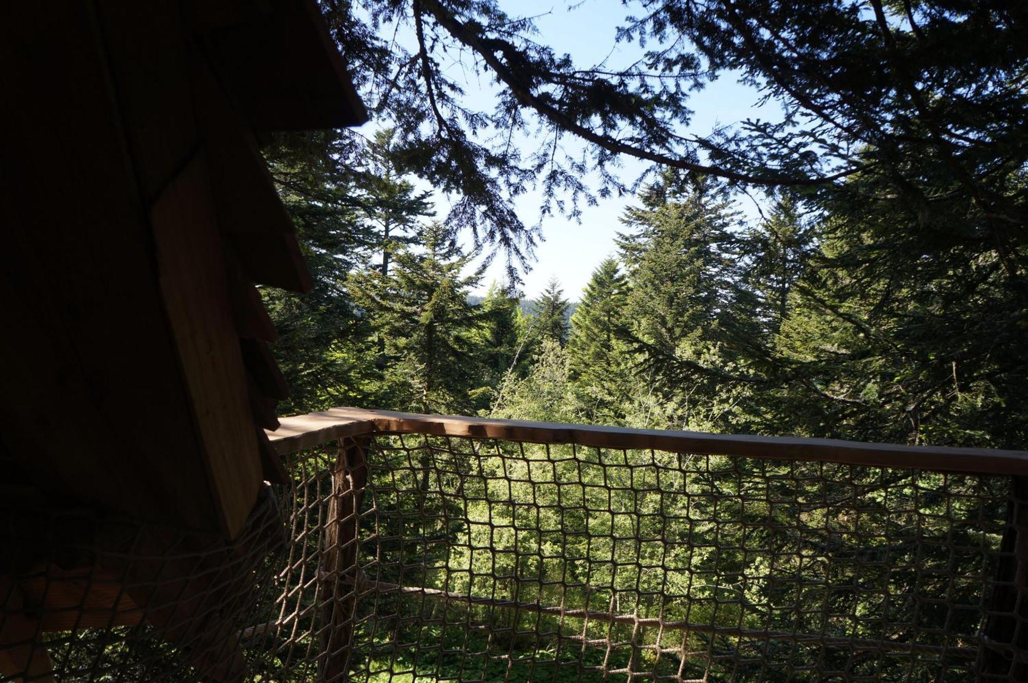 Cabanes Des Volcans La Tour-d'Auvergne Bilik gambar